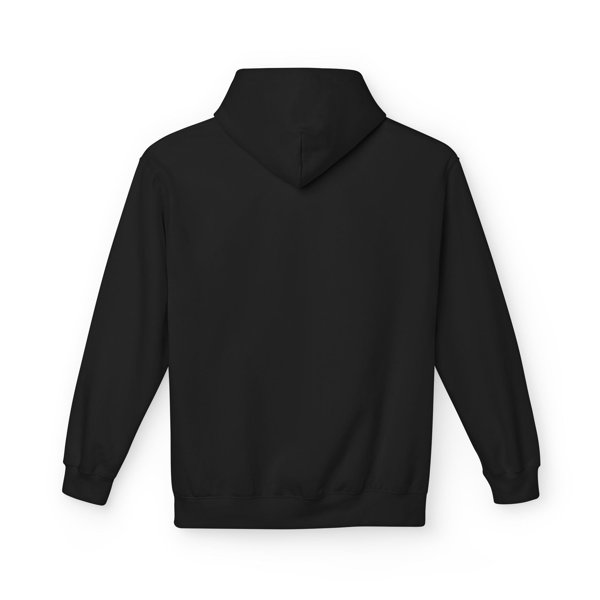 Cat Mom Hoodie | My Cat And I Talk Shit About You